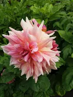 20190909_110454.webp