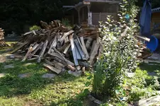 DSC08293.webp