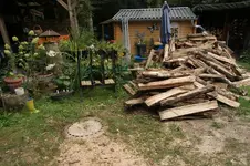 DSC08294.webp