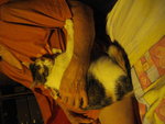 IMGP8138.JPG