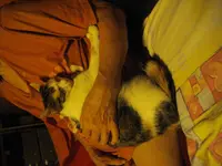 IMGP8138.webp