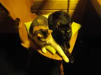 IMGP8128.webp