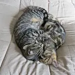 IMG_6665 v (2).webp