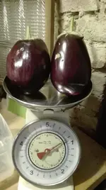 AuberginenWaage.webp