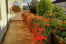IMG_20190910_171519185_HDR.webp
