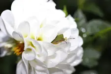 image002.webp