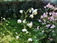 DSCF2842 (2).webp