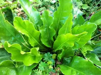 DSCF2848 (2).webp