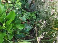 DSCF2850 (2).webp