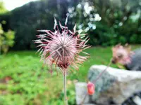 DSCF2838 (2).webp