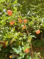 20190912_120217_resized.jpg