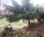 20170202_111106-01.webp
