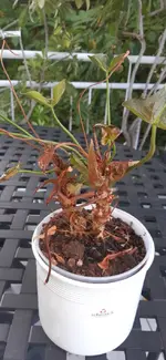 20190908_111630.webp