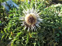 DSCF2852 (2).webp
