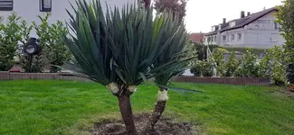 20190912_175027.webp