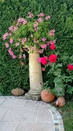 IMG_20190912_074025404.webp