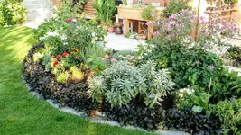 IMG_20190912_074122716.png