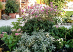 IMG_20190912_074323831.png
