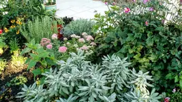 IMG_20190912_074425898.webp
