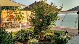 IMG_20190912_075919103_HDR.webp