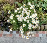 IMG_20190912_080018054_HDR.webp