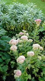 IMG_20190912_080140170.webp