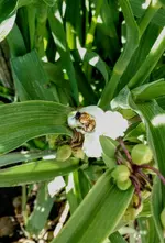 IMG_20190910_101911466.webp