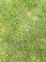 IMG_8751.webp