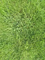 IMG_8755.webp