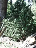 SAM_1321.webp