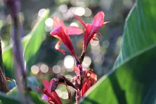 image003.webp