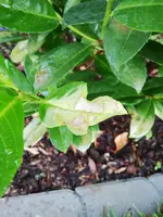 IMG_20190912_190945.webp