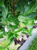 IMG_20190912_190949.jpg