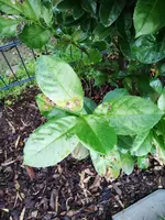 IMG_20190912_191003.webp