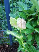 IMG_20190912_191017.webp