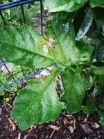 IMG_20190912_191454.webp