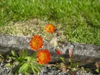 13_09_2019 (12).webp