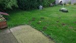 DSC_0411.JPG