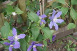 DSC08302.JPG