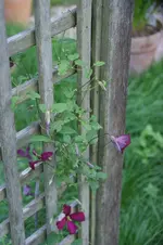 DSC08305.webp