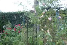 DSC08306.webp