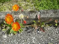 13_09_2019 (11).webp