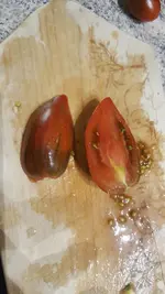 20190913_212010.webp