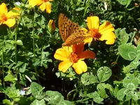 C0E898FF-E256-434C-AC50-95FAE801E9E4.webp