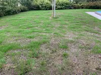 13. Tag (2).webp
