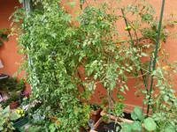 20190914_171615_resized.webp