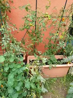 20190914_171609_resized.webp