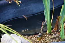 DSC08314.webp