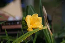 DSC08299.webp