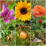 20190915_000848.webp